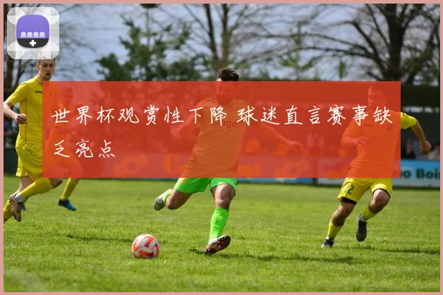 世界杯观赏性下降 球迷直言赛事缺乏亮点