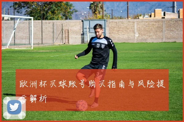 欧洲杯买球账号购买指南与风险提示解析