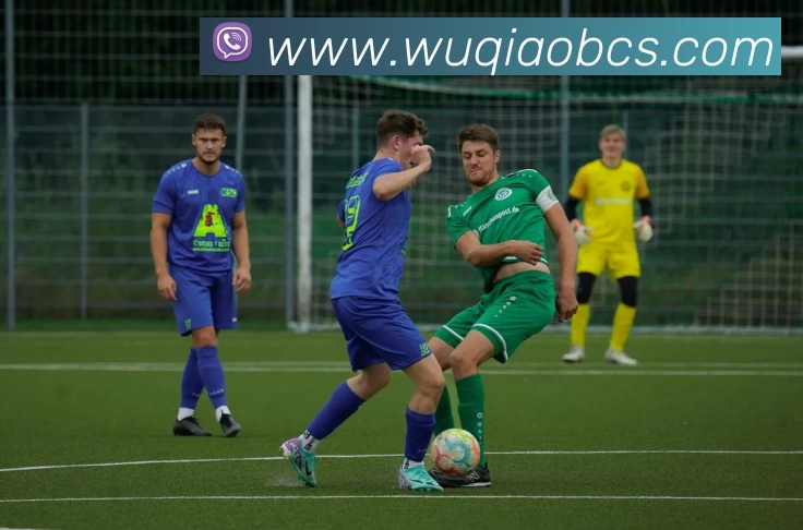 丹麦世界杯预选赛分组出炉 欧洲劲旅签运成焦点看点